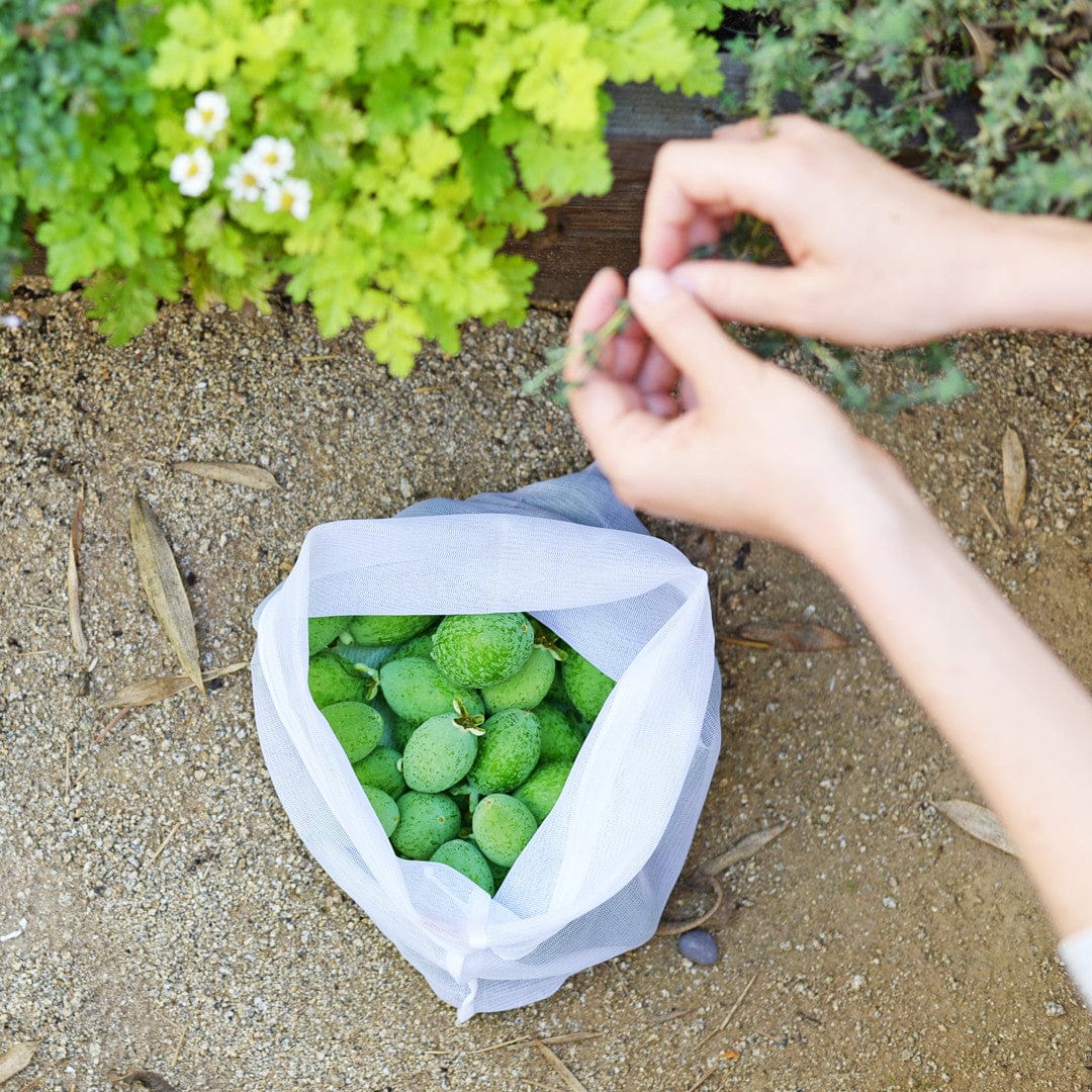 reusable produce bags in garden - reusable produce bags reusable produce bags